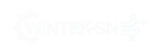 wintek-sn.com